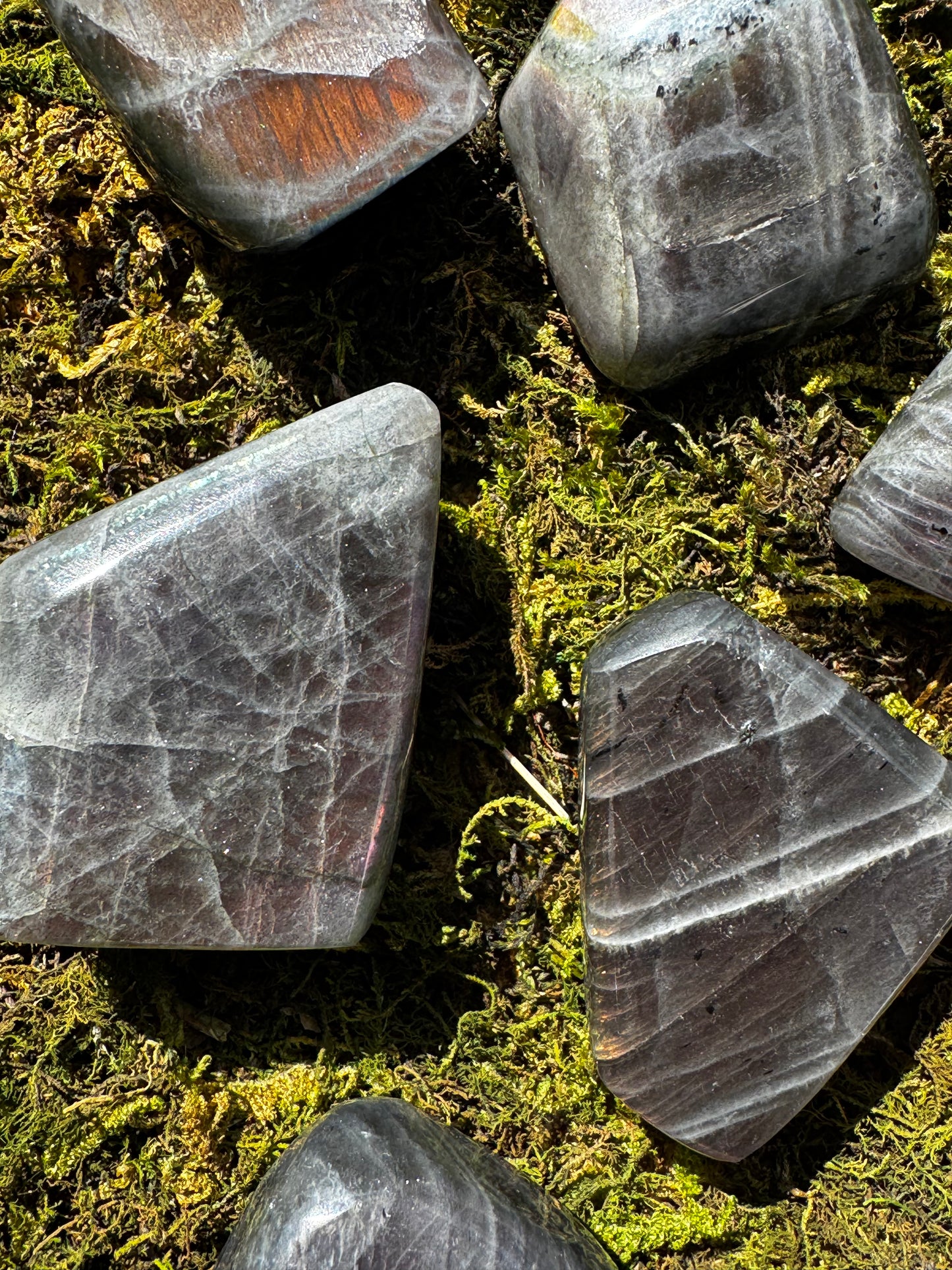 Sunset Labradorite Freeforms