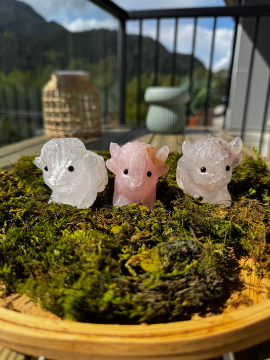 Highland Cow Carvings