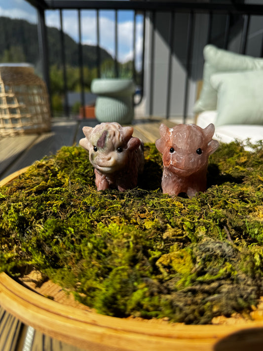 Highland Cow Carvings