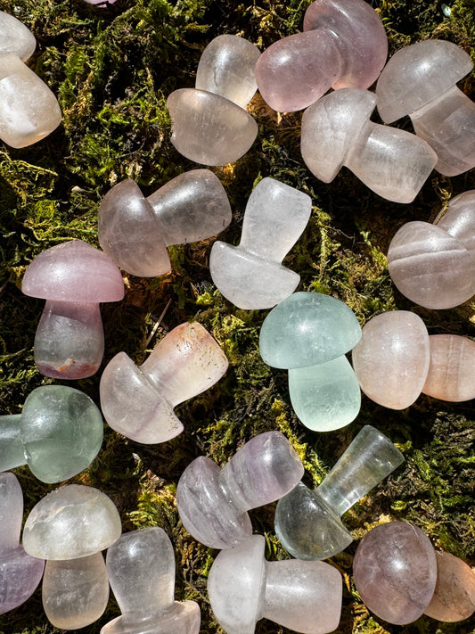 Fluorite Mushroom Carvings
